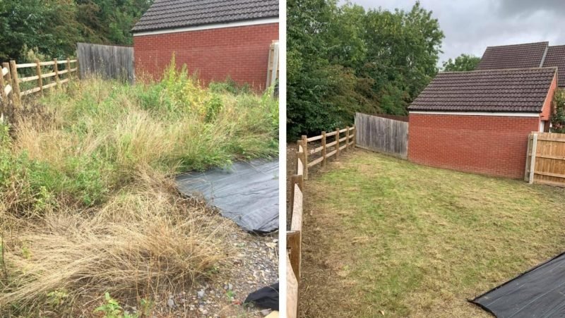 Garden prepared for landscaping