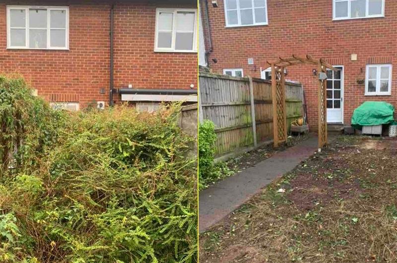 Overgrown garden before clearance