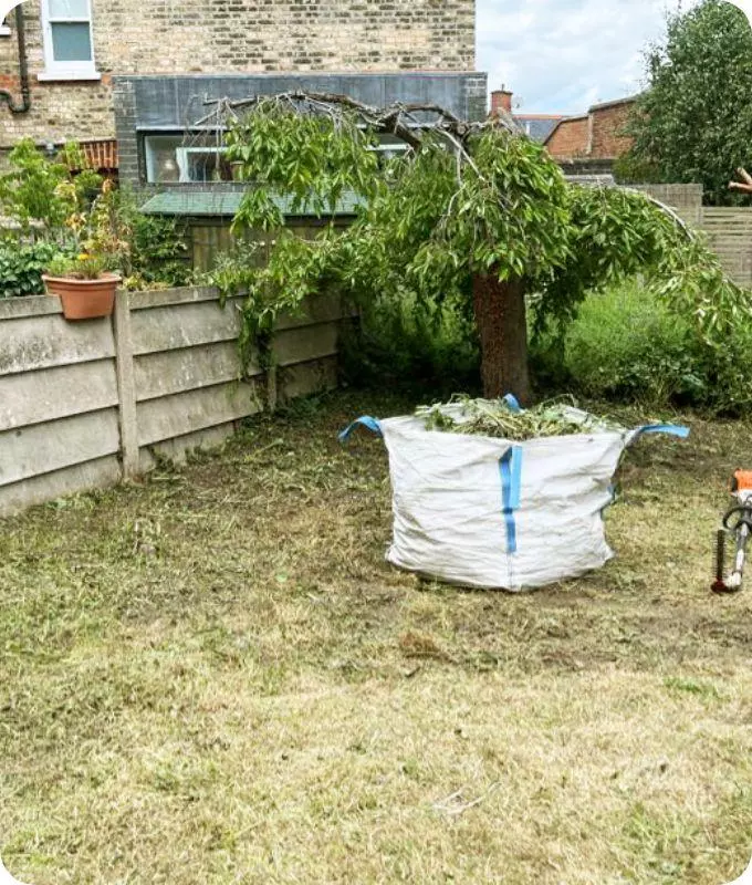 Garden clearance in London