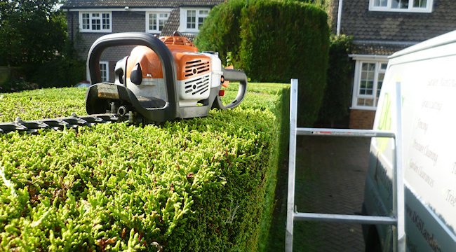 Garden maintenance in London