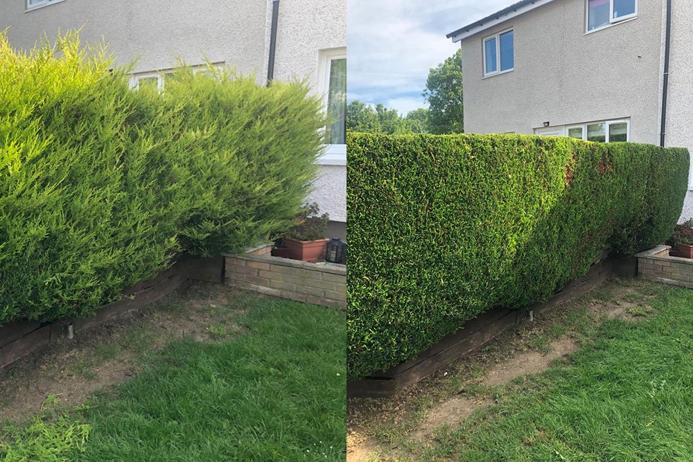 Regular garden maintenance